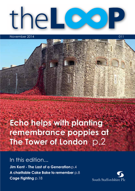 Echo Helps with Planting Remembrance Poppies at the Tower of London P.2