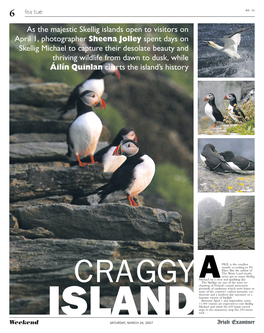 As the Majestic Skellig Islands Open to Visitors on April 1, Photographer Sheena Jolley Spent Days on Skellig Michael to Captur