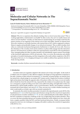 Molecular and Cellular Networks in the Suprachiasmatic Nuclei