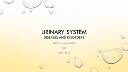 Urinary System Diseases and Disorders