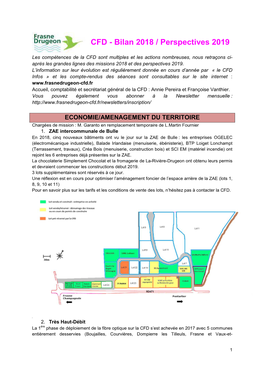 CFD - Bilan 2018 / Perspectives 2019