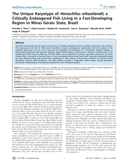 The Unique Karyotype of Henochilus Wheatlandii, a Critically Endangered Fish Living in a Fast-Developing Region in Minas Gerais State, Brazil