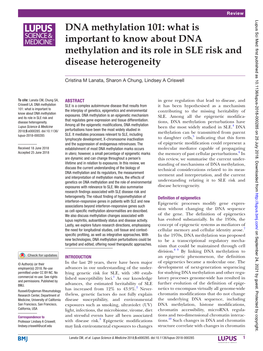 DNA Methylation 101: What Is Important to Know About DNA Methylation and Its Role in SLE Risk and Disease Heterogeneity