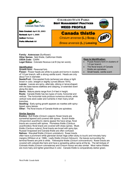 Canada Thistle Author: Various Cirsium Arvense (L.) Scop.; Parks Affected: All Breea Arvensis (L.) Lessing