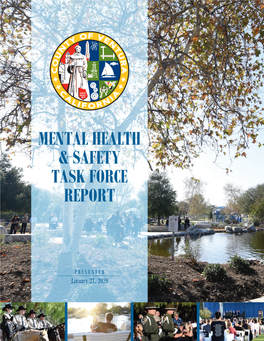 Mental Health & Safety Task Force Report