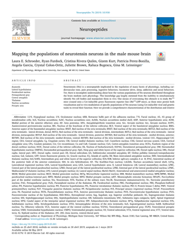 Mapping the Populations of Neurotensin Neurons in the Male Mouse Brain T Laura E