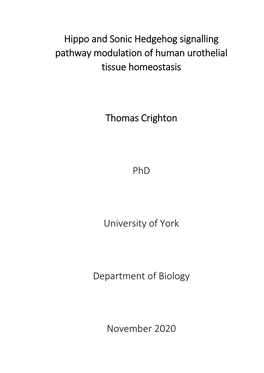 Hippo and Sonic Hedgehog Signalling Pathway Modulation of Human Urothelial Tissue Homeostasis