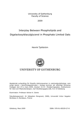 Interplay Between Phospholipids and Digalactosyldiacylglycerol in Phosphate Limited Oats