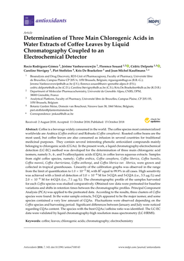 Determination of Three Main Chlorogenic Acids in Water Extracts of Coffee Leaves by Liquid Chromatography Coupled to an Electrochemical Detector