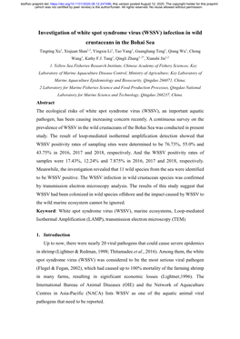 Investigation of White Spot Syndrome Virus (WSSV)