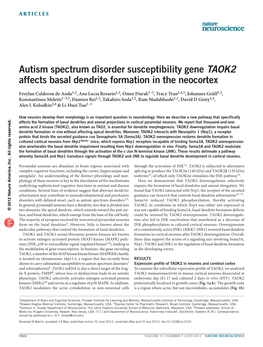 Autism Spectrum Disorder Susceptibility Gene TAOK2 Affects