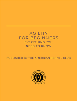 Agility for Beginners Everything You Need to Know