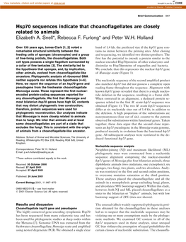 Hsp70 Sequences Indicate That Choanoflagellates Are Closely Related to Animals Elizabeth A