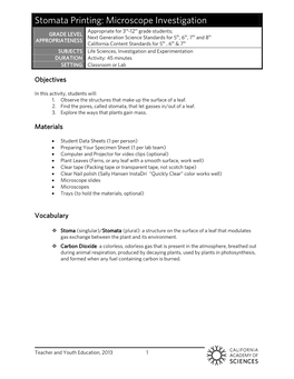 Stomata Printing: Microscope Investigation