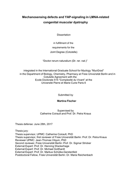 Mechanosensing Defects and YAP-Signaling in LMNA-Related Congenital Muscular Dystrophy