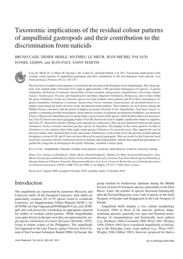 Taxonomic Implications of the Residual Colour Patterns of Ampullinid Gastropods and Their Contribution to the Discrimination from Naticids