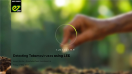 Detecting Tobamoviruses Using LED
