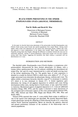 Black-Stripe Phenotypes in the Spide R Enoplognatha Ovata (Araneae, Theridiidae)