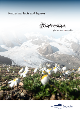 Pontresina. Facts and Figures the Village