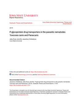 P-Glycoprotein Drug Transporters in the Parasitic Nematodes Toxocara Canis and Parascaris