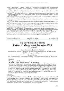 Die Eier Heimischer Fische 24. Zingel – Zingel Zingel (Linnaeus, 1758) (Percidae)