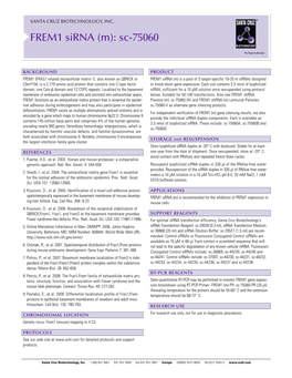 FREM1 Sirna (M): Sc-75060
