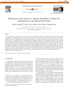 Plastocyanin Redox Kinetics in Spinach Chloroplasts: Evidence for Disequilibrium in the High Potential Chain