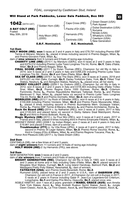 FOAL, Consigned by Castletown Stud, Ireland