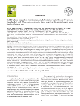 Field Level Auto-Inoculation of Sorghum Chafer, Pachnoda