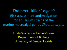 The Next “Killer” Algae? Risk Assessment and Mitigation for Aquarium Strains of the Marine Macroalgal Genus Chaetomorpha