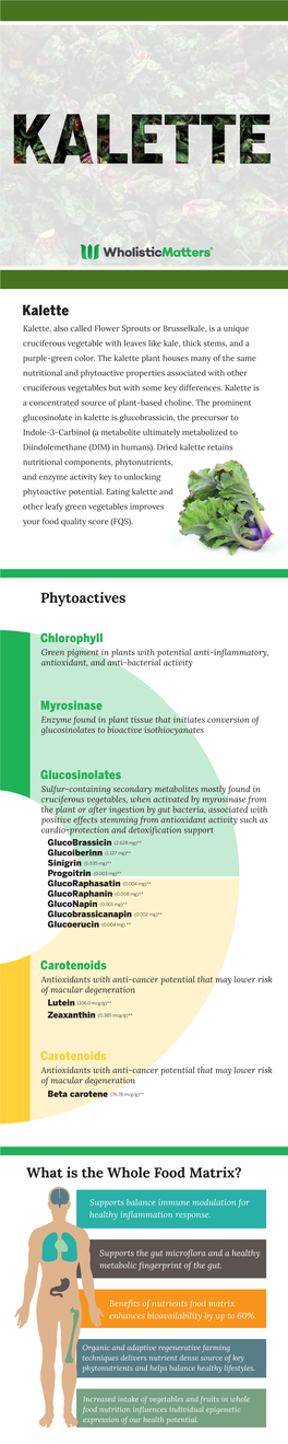 Kalette Phytoactives What Is the Whole Food Matrix?