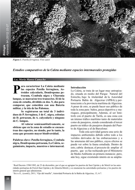 Estudios Comparativos De La Caleta Mediante Espacies Intermareales Protegidas
