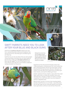 Swift Parrot and Forty-Spotted Pardalote