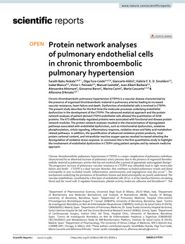 Protein Network Analyses of Pulmonary Endothelial Cells In