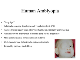 Human Amblyopia