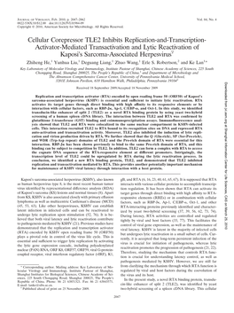 Cellular Corepressor TLE2 Inhibits Replication-And-Transcription