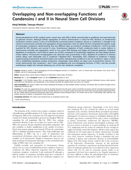 Overlapping and Non-Overlapping Functions of Condensins I and II in Neural Stem Cell Divisions