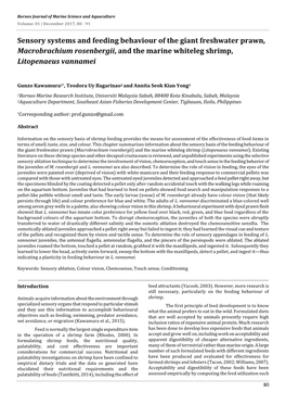 Sensory Systems and Feeding Behaviour of the Giant Freshwater Prawn, Macrobrachium Rosenbergii, and the Marine Whiteleg Shrimp, Litopenaeus Vannamei