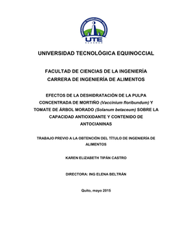 Universidad Tecnológica Equinoccial