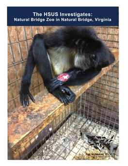 The HSUS Investigates: Natural Bridge Zoo in Natural Bridge, Virginia
