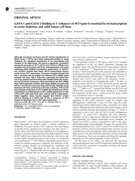 Enhancer of WT1 Gene Is Essential for Its Transcription in Acute Leukemia and Solid Tumor Cell Lines