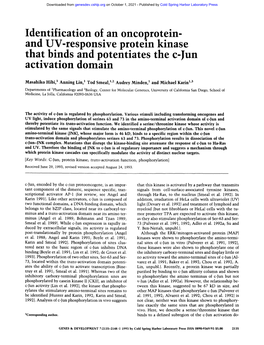 And UV-Responsive Protein Kinase That Binds and Potentiates the C-Jun Activation Domain