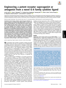 Engineering a Potent Receptor Superagonist Or Antagonist from a Novel IL-6 Family Cytokine Ligand