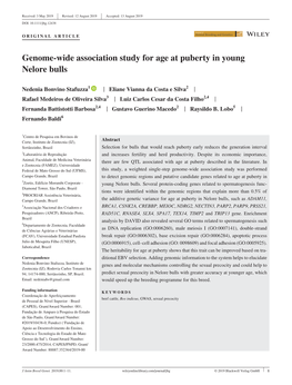 Genome‐Wide Association Study for Age at Puberty in Young Nelore Bulls