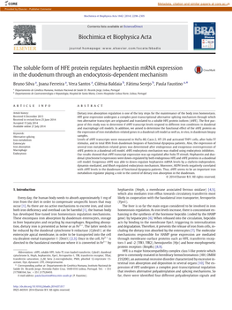 The Soluble Form of HFE Protein Regulates Hephaestin Mrna Expression in the Duodenum Through an Endocytosis-Dependent Mechanism