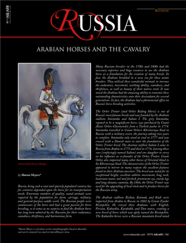 Arabian Horses and the Cavalry