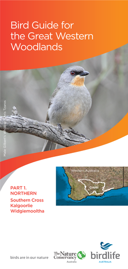 Bird Guide for the Great Western Woodlands Male Gilbert’S Whistler: Chris Tzaros Whistler: Male Gilbert’S