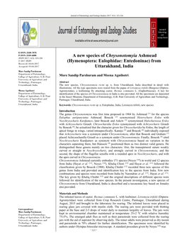 A New Species of Chrysonotomyia Ashmead (Hymenoptera