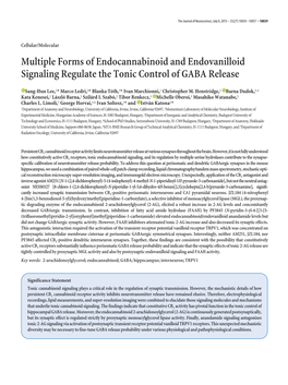 Multiple Forms of Endocannabinoid and Endovanilloid Signaling Regulate the Tonic Control of GABA Release