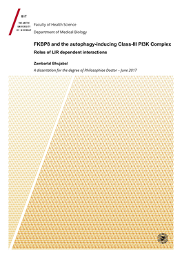 FKBP8 and the Autophagy-Inducing Class-III PI3K Complex Roles of LIR Dependent Interactions